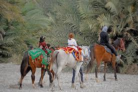 Senior Riders Training